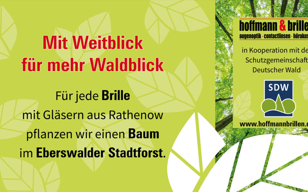Gemeinsam für den Wald
