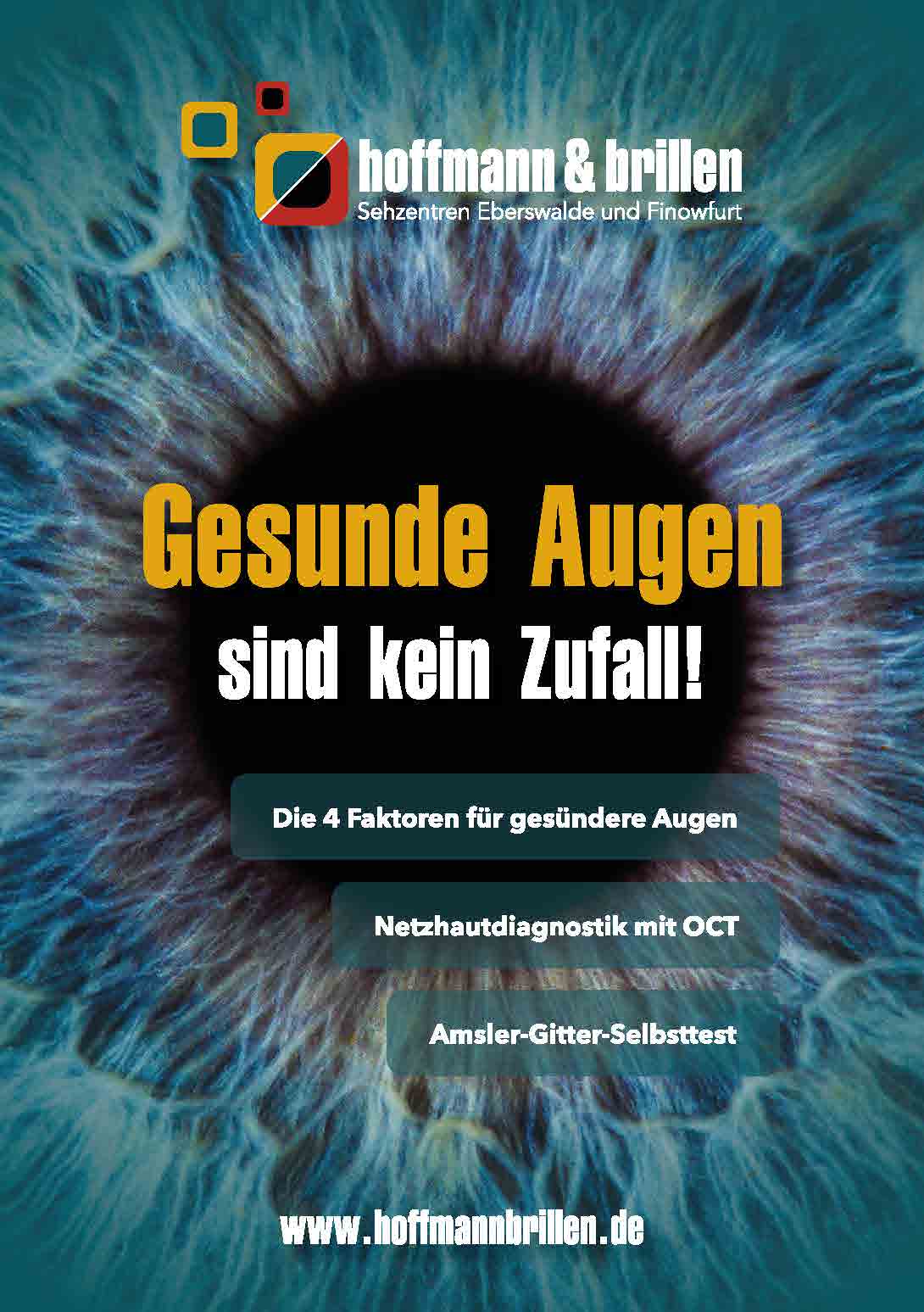 Broschüre Gesunde Augen sind kein Zufall Broschüre Gesunde Augen sind kein Zufall