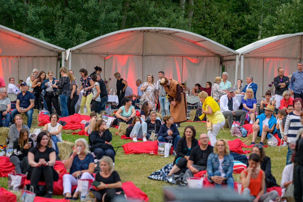 Picknick auf der Wiese beim brillenball OpenAir 2021 in Eberswalde